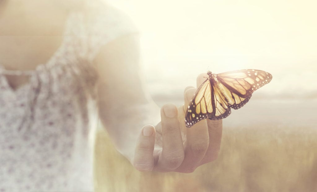 a butterfly leans on a hand of a girl in the middle of nature